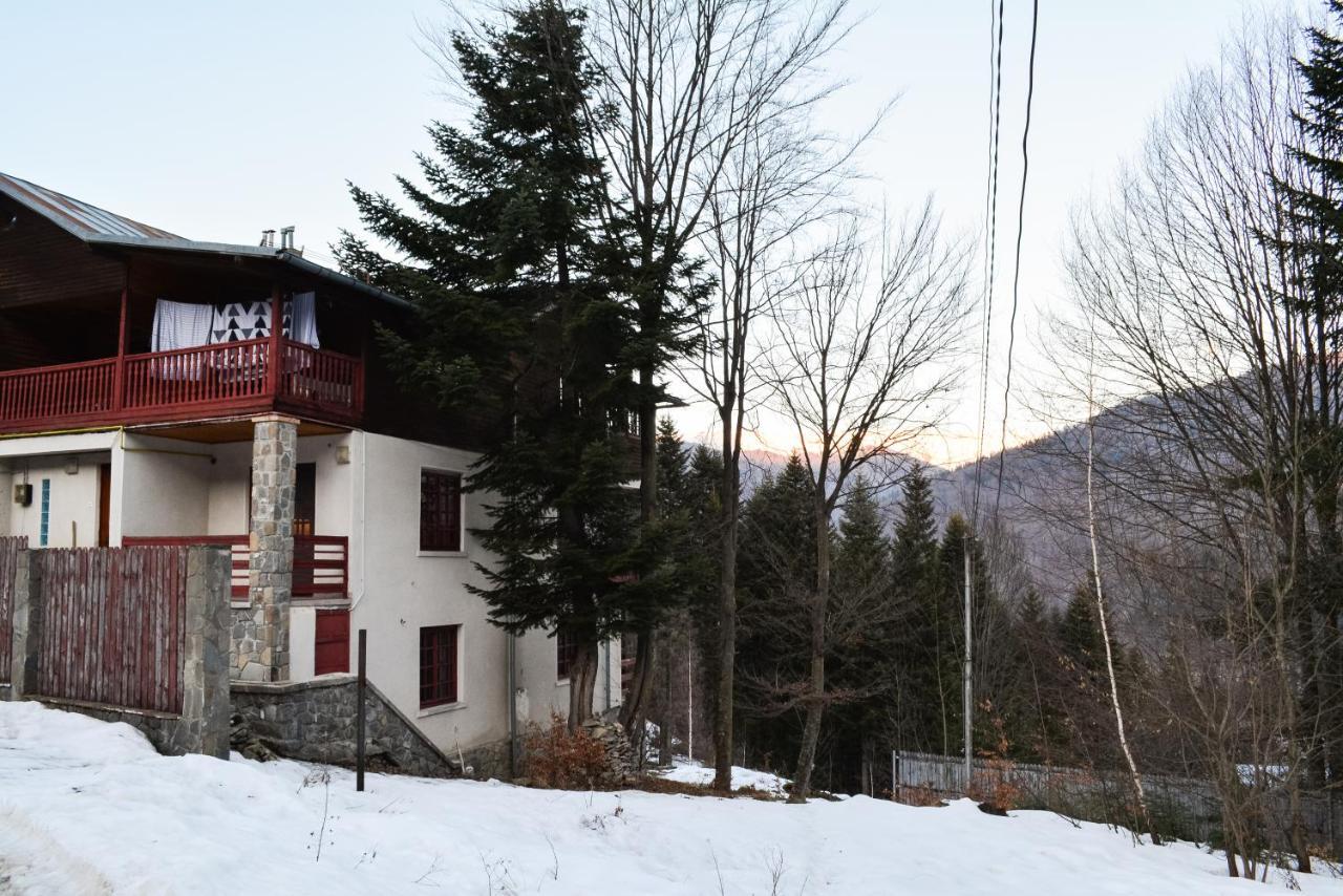 Grandpa'S Hidden Crib, 6 Bedroom, Pet Friendly Сіная Екстер'єр фото