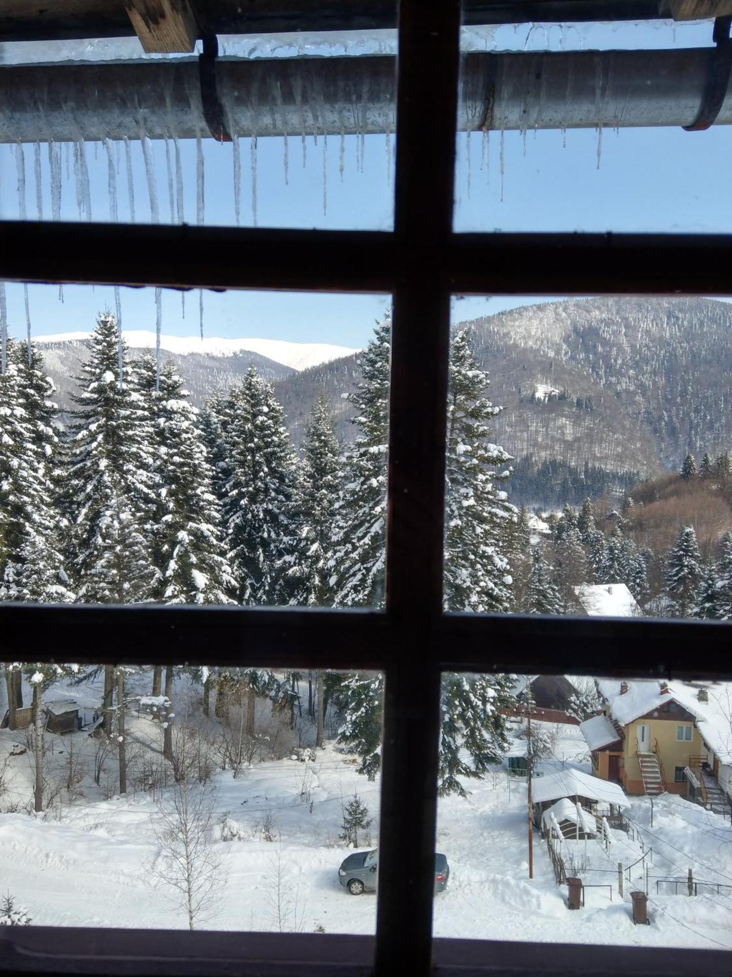 Grandpa'S Hidden Crib, 6 Bedroom, Pet Friendly Сіная Екстер'єр фото