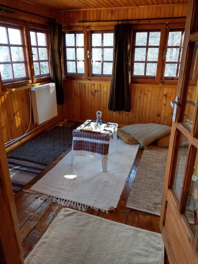 Grandpa'S Hidden Crib, 6 Bedroom, Pet Friendly Сіная Екстер'єр фото
