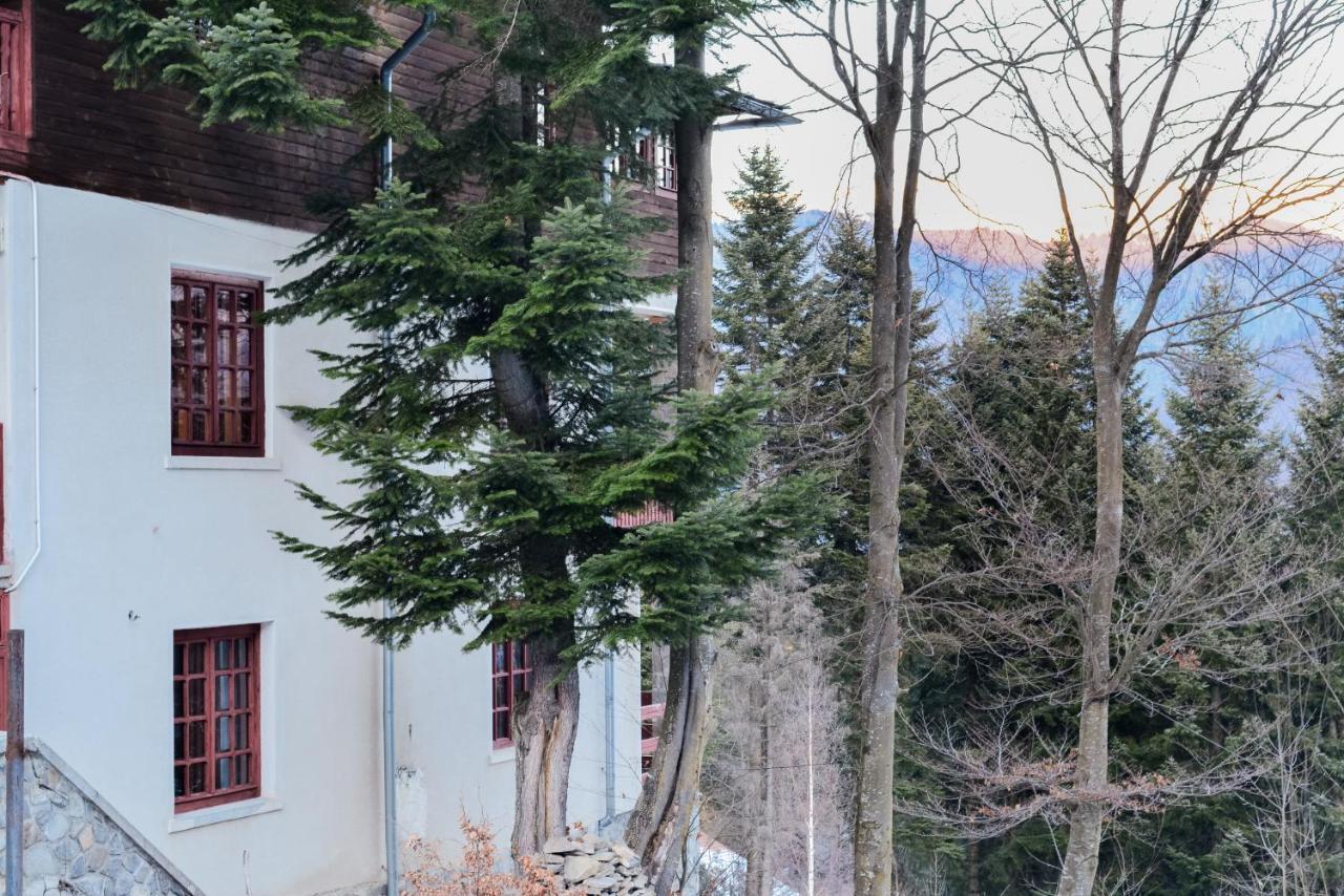 Grandpa'S Hidden Crib, 6 Bedroom, Pet Friendly Сіная Екстер'єр фото