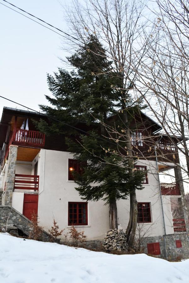 Grandpa'S Hidden Crib, 6 Bedroom, Pet Friendly Сіная Екстер'єр фото